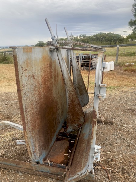Calf branding cradle and race
