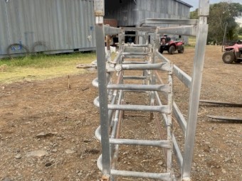 Calf branding cradle and race