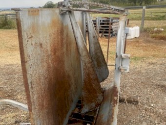 Calf branding cradle and race