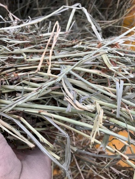 Clover & Rye Hay 350kg 5x4 Round Bales