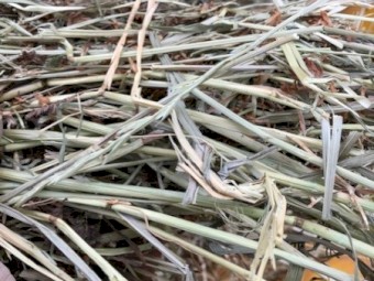 Clover & Rye Hay 350kg 5x4 Round Bales