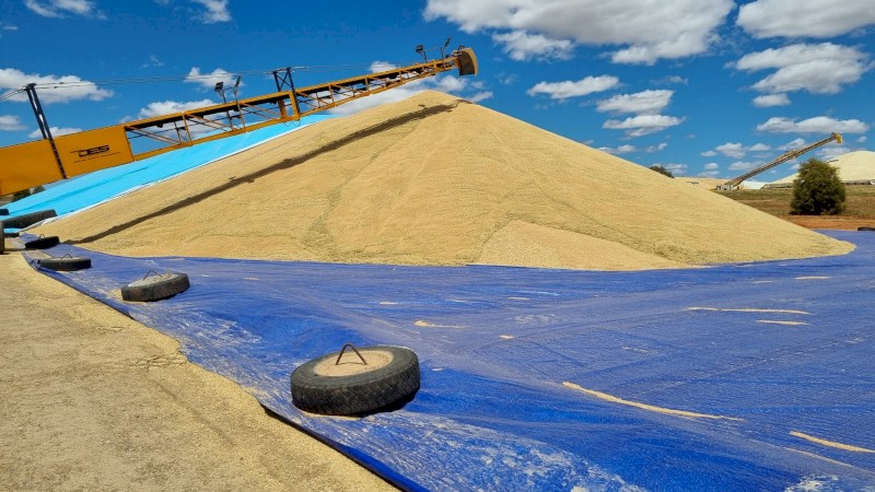 Ground Sheets In Stock Available for Immediate dispatch