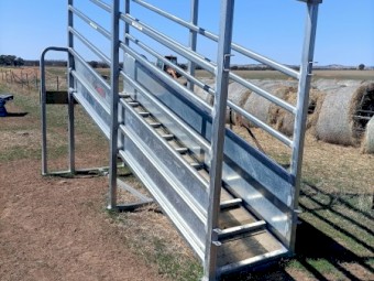 Norton Cattle Loading Ramp