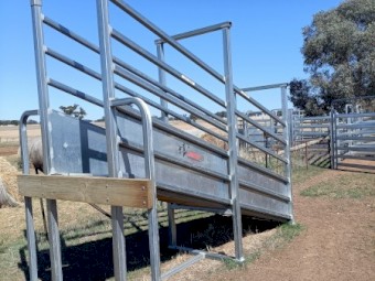 Norton Cattle Loading Ramp