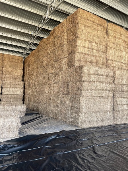 250mt Vetch Hay 8x4x3 Bales (22/23 Season)