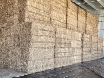 250mt Vetch Hay 8x4x3 Bales (22/23 Season)