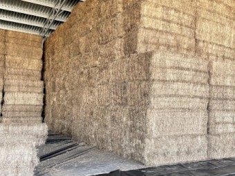 250mt Vetch Hay 8x4x3 Bales (22/23 Season) | Farm Tender