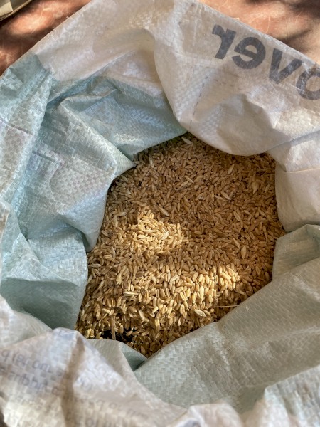 25t of Wheat for sale unknown variety 