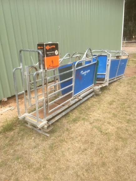 Dandaragan Sheep Handler with Scales, Drafting Gates and Leadup Race