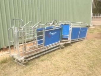 Dandaragan Sheep Handler with Scales, Drafting Gates and Leadup Race