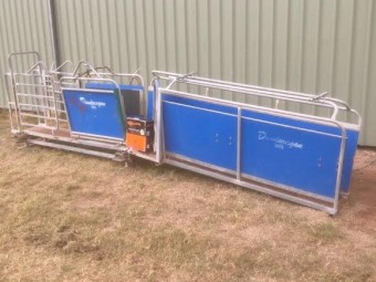 Dandaragan Sheep Handler with Scales, Drafting Gates and Leadup Race