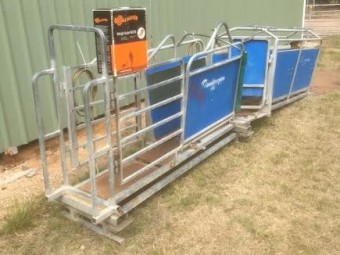 Dandaragan Sheep Handler with Scales, Drafting Gates and Leadup Race