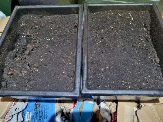 Certified Organic Fertilizer / Food Compost - Ongoing sale!