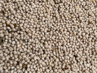 27 mt Bateman Lupins