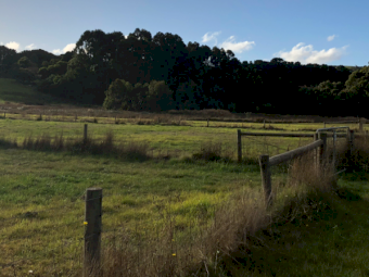 Offering For lease (not sale) long term lease of 25 acres of rich paddocks with water source Hindmarsh Tiers (1 hour from Adelaide)