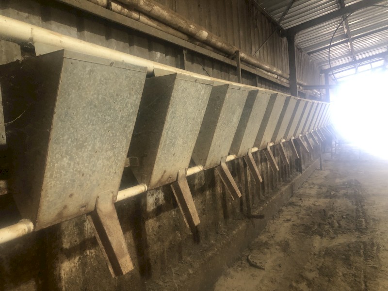 Herringbone feedtech feed system