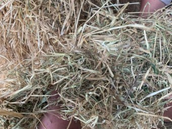 130mt Barley Lucerne and Clover Pasture Hay 740kg 8x4x3 Bales (No.2 Plain) 22/23 Season