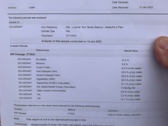 130mt Barley Lucerne and Clover Pasture Hay 740kg 8x4x3 Bales (No.2 Plain) 22/23 Season