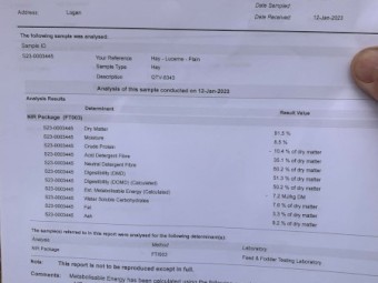 190mt Rye Lucerne and Clover Hay 610kg 8x4x3 Bales (The Plain) 22/23 Season