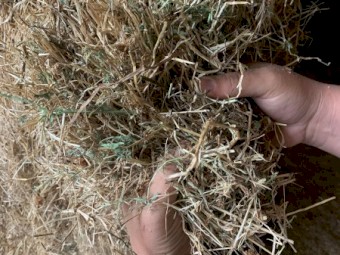 100mt Rye Lucerne and Clover Hay 620kg 8x4x3 Bales (Pre-em 100) 22/23 Season