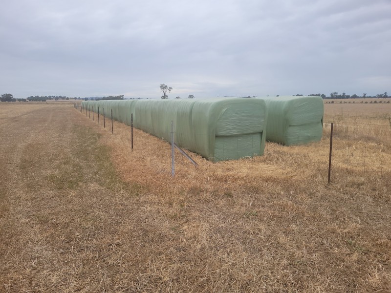 Wheat and Ryegrass Hay 450kg 6x4x3 Bales