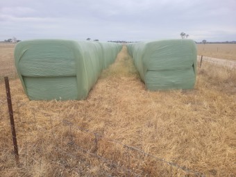 Wheat and Ryegrass Hay 450kg 6x4x3 Bales