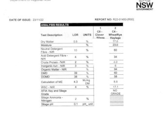 Wheat and Ryegrass Hay 450kg 6x4x3 Bales