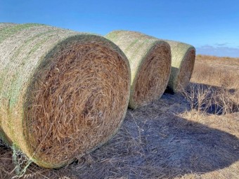Oaten Hay Bales
