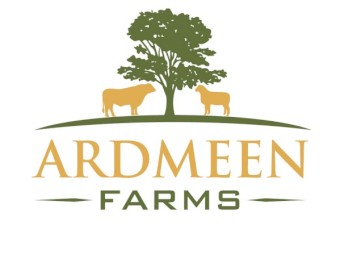 APR Registered Angus Bulls - Offers Considered