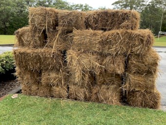 35 MULCHED STRAW BALES