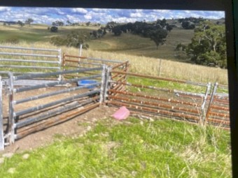 Sheep Fencing 