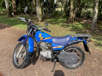 Yamaha Ag 200