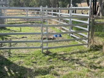 Norton Cattle Yard with Ramp