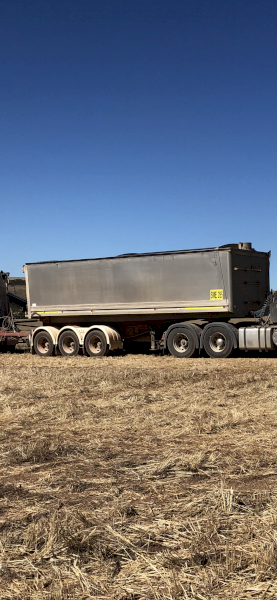 2003 Hamerlex White Slider Tipper