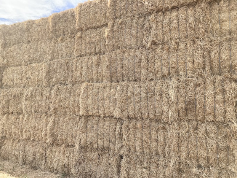 200mt Lucerne Ryegrass 600kg+ 8x4x3 Hay
