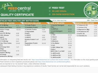 200mt Vetch Hay 8x4x3 Bales (New Season 22/23)
