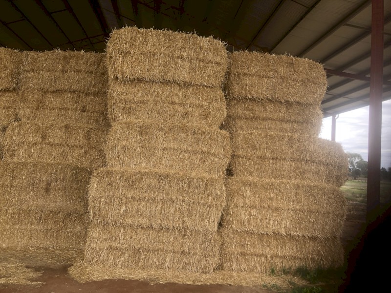 400mt Barley Straw 8x4x3 Bales
