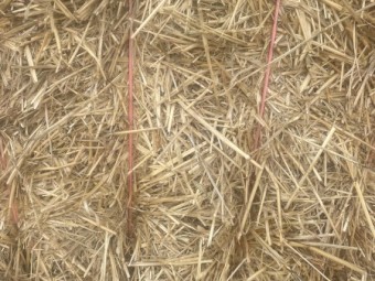 Wheat straw