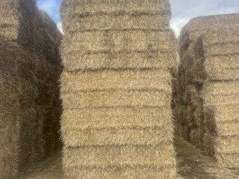 Wheat straw