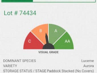 85mt Pasture Hay. Lucerne Clover Rye