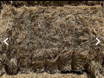 85mt Pasture Hay. Lucerne Clover Rye