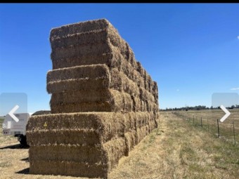 85mt Pasture Hay. Lucerne Clover Rye