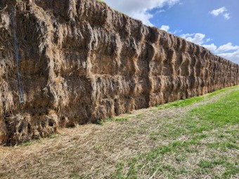 Wheat/Ryegrass Hay