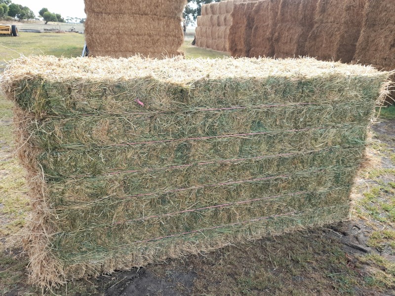 Irrigated Lucerne hay
