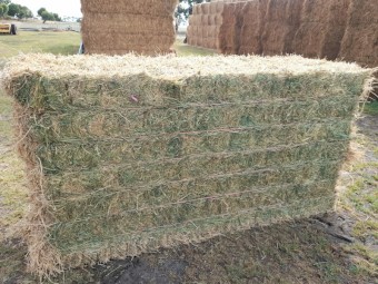 Irrigated Lucerne hay
