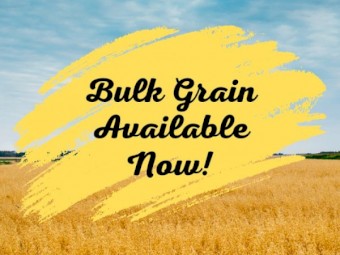 Bulk organic grains available