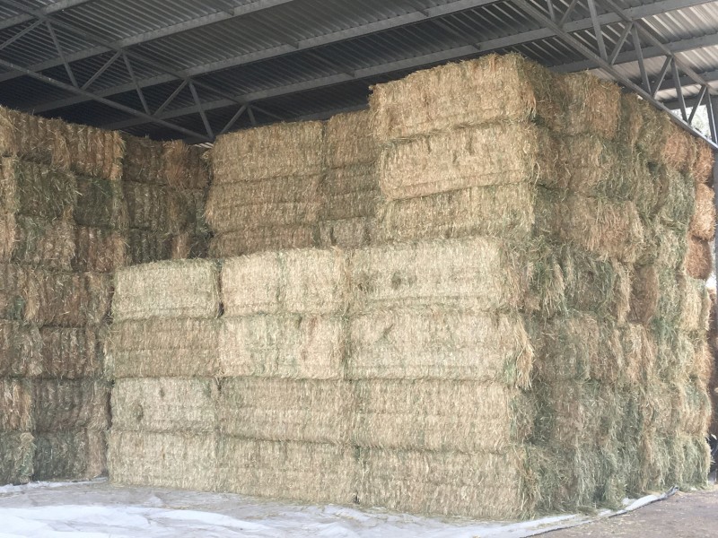 2022 season Oaten hay