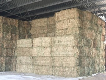 2022 season Oaten hay