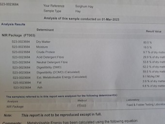 SSS Sorghum Hay current season