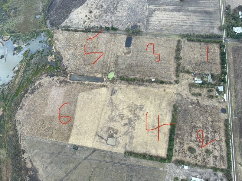 Various paddocks available 